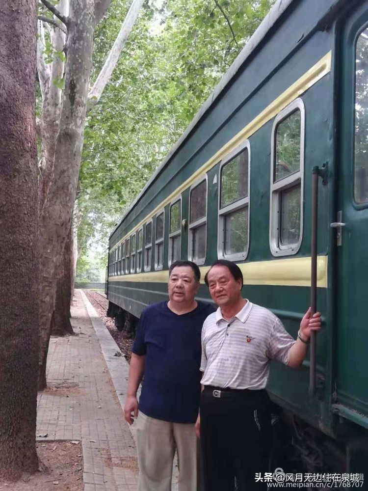 济南秋天的法国梧桐,济南一颗梧桐树