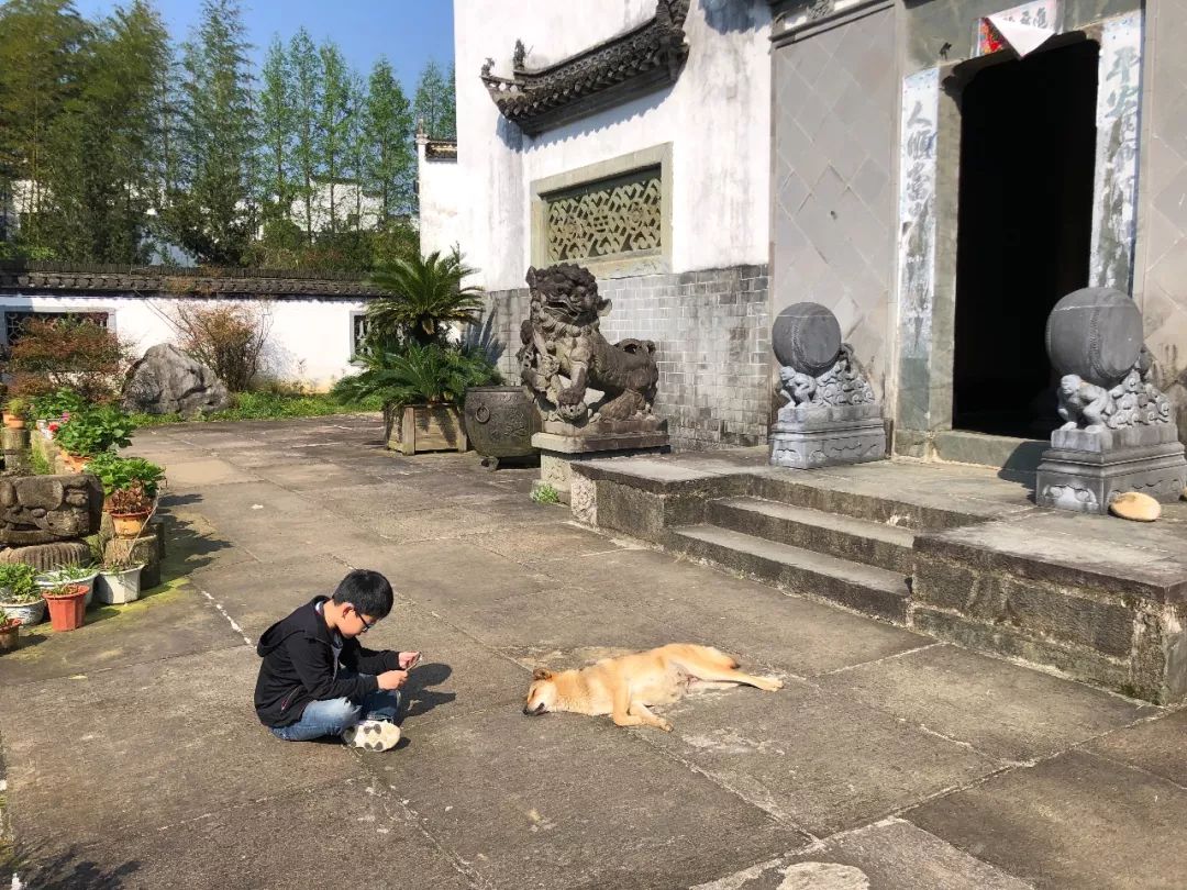 婺源清华朴园,婺源旅游攻略2日游民宿