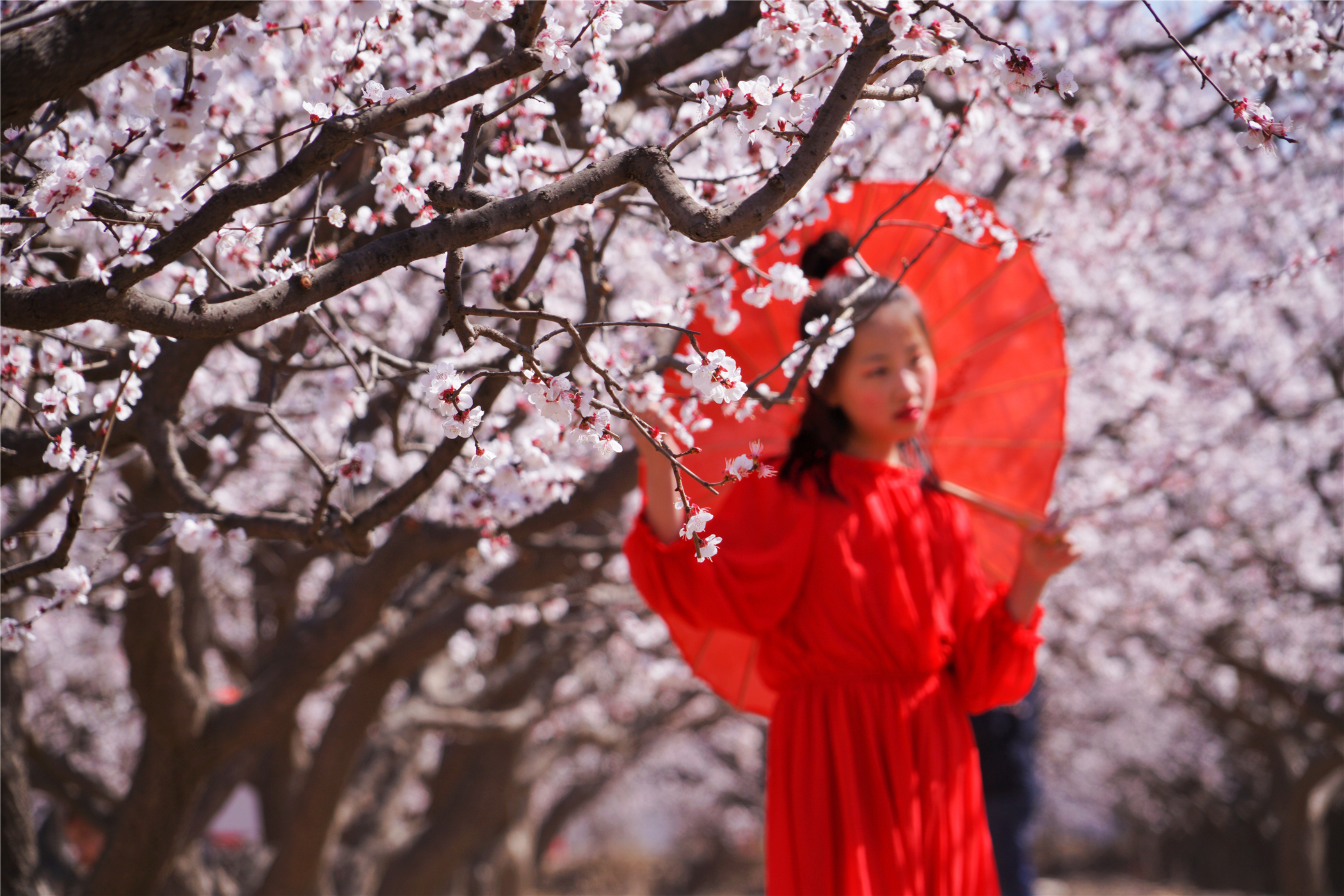 河北这座文旅小城值得一去,河北的一座小县城