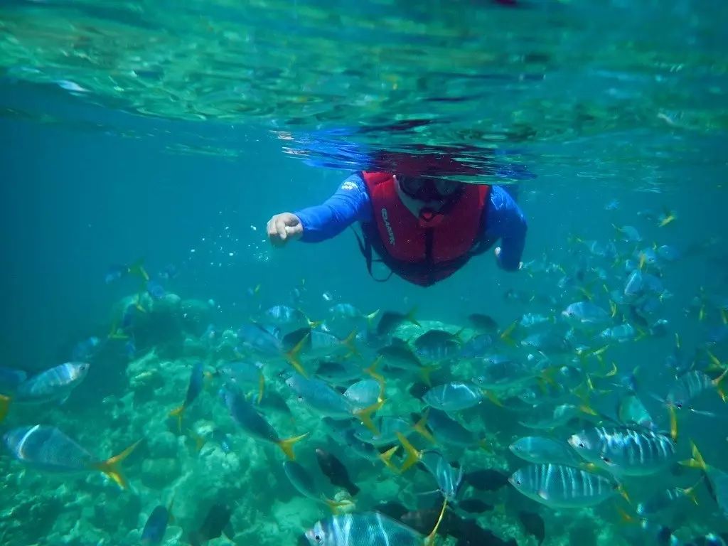 帕劳归来不看海谁说的,帕劳归来不看海