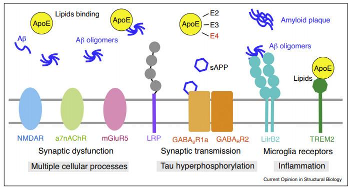 施一公研究团队,施一公团队
