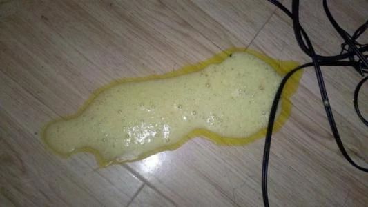 狗狗呕吐白色泡沫后又吐黄色粘液,狗狗吐了有什么方法治疗