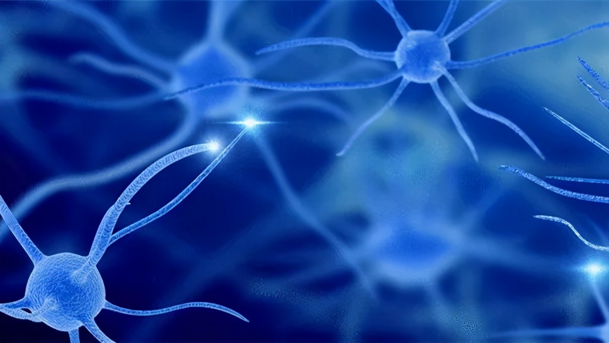 肝功能报告的解读,新生儿黄疸高肝功能检查报告解读