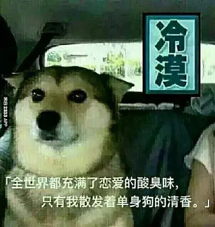 今晚喝什么汤比较好,今晚喝什么牛奶好