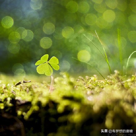 要么对方遍体鳞伤,要么自己痛不欲生:心理学深度剖析作