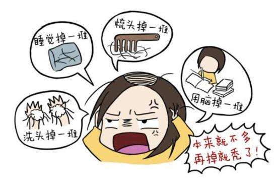 女性头顶脱发严重是什么原因,女性雄激素性脱发的原因