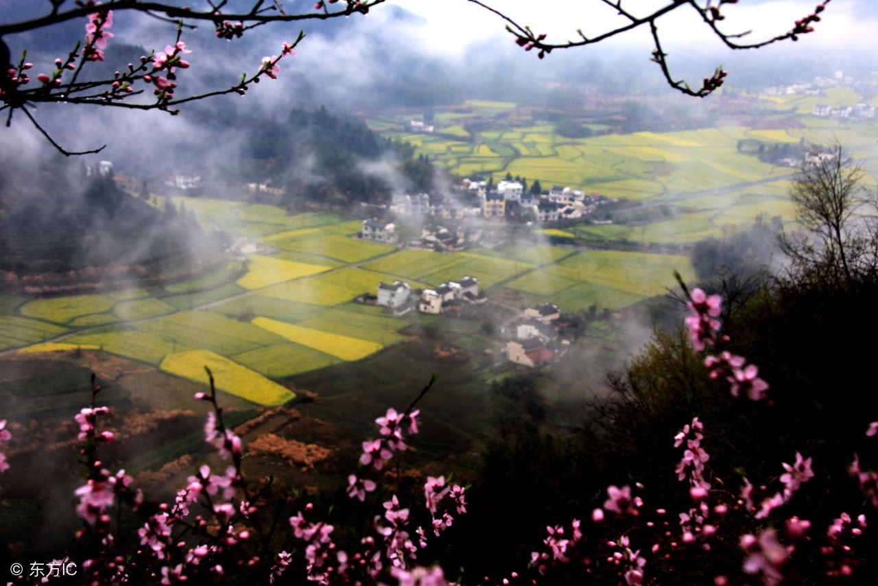 北师大版我们一起去游园教学设计,蝶恋花春景教学设计
