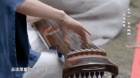 魅力中国城武夷山制茶师,魅力中国城武夷山