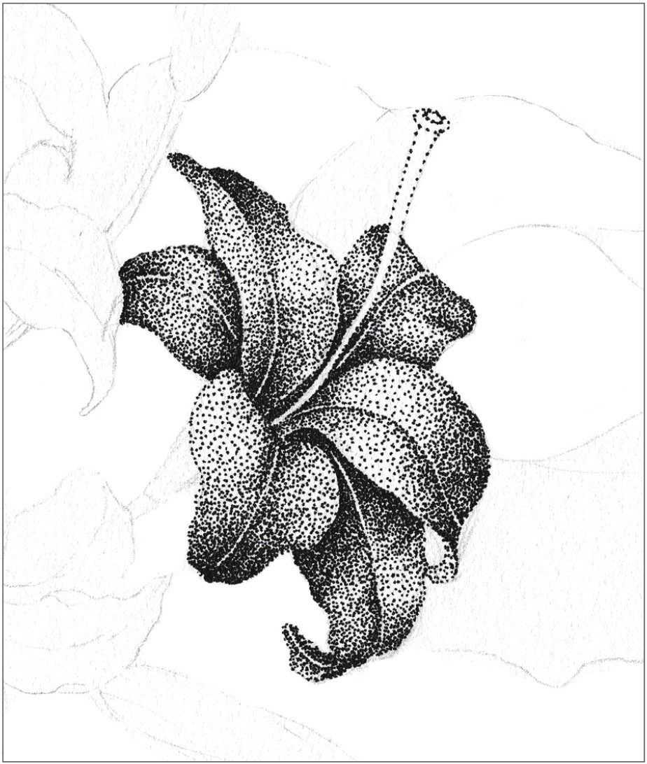 插画绘画教程纸绘,怎么画简单好看的插画教程