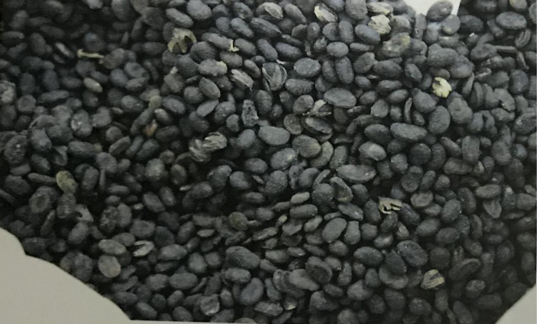 补骨脂可以补骨头吗,骨碎补和补骨脂哪个补骨效果好