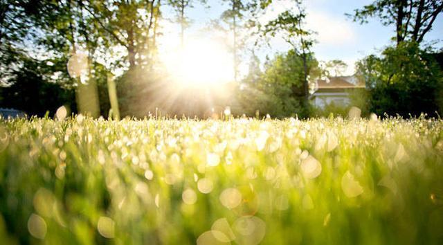 小说同桌爱情文,小说暗恋女同桌