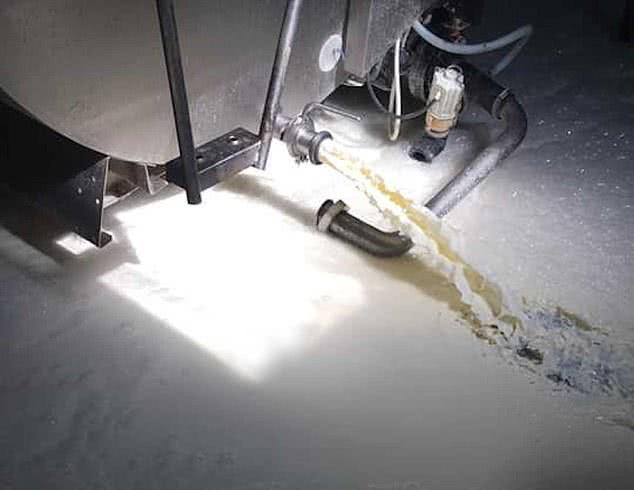 英国牛奶滞销，数十万升被直接放掉，白花花的液体淹没脚面