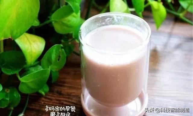 自制豆浆机饮品简单又好喝,早餐破壁豆浆机食材推荐