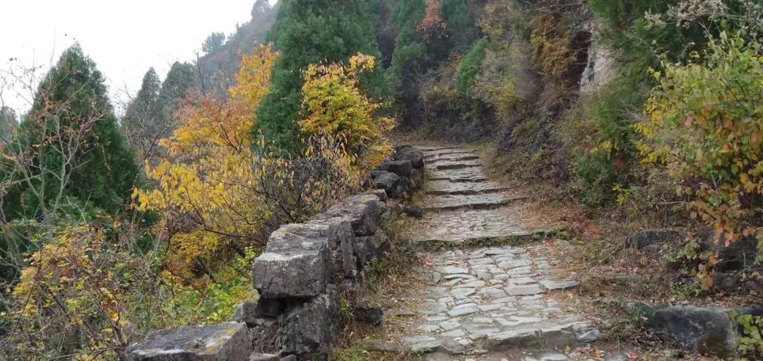 秋香四溢的白陉古道，诗意正浓