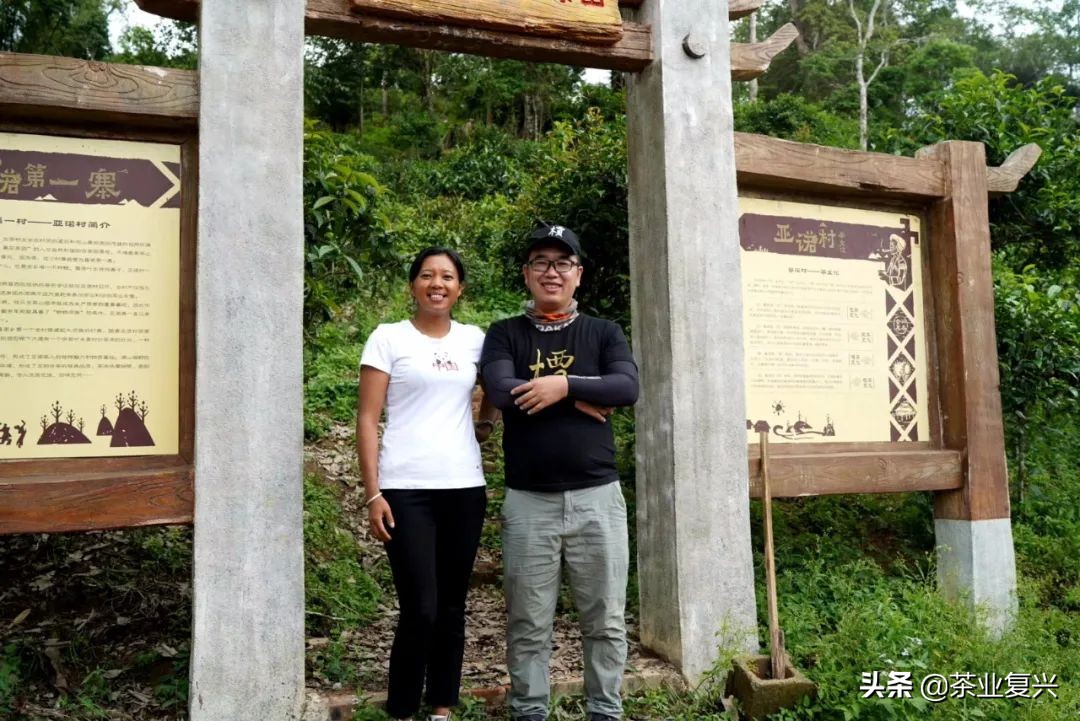 中华茶文化的弘扬与传承,新时代中国茶文化的发展传承