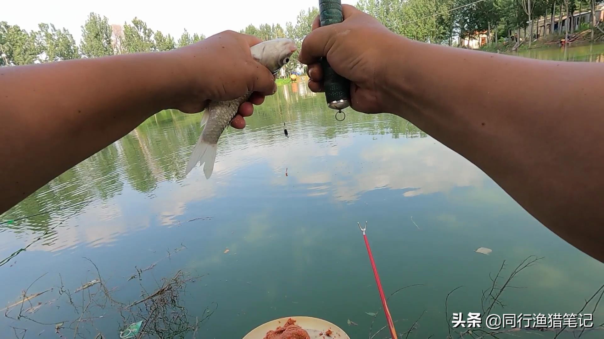 这个小玩意儿，治好了困扰我多年的钓鱼综合症，网友：这法子绝了