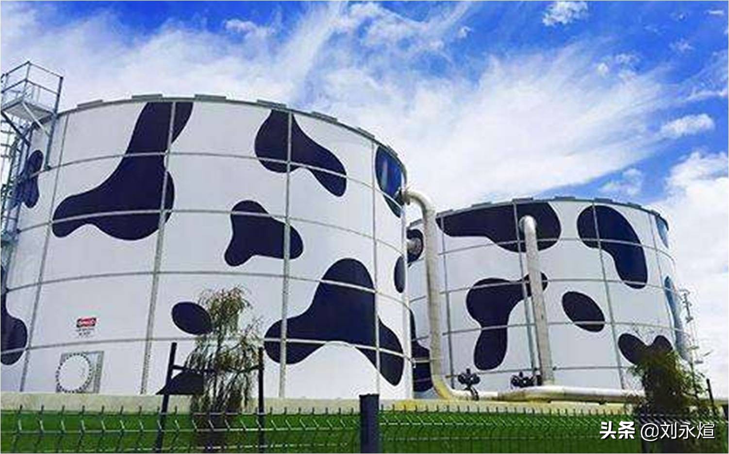 割肉君乐宝，拔草贝拉米踩钢丝：蒙牛对标双千亿之惑