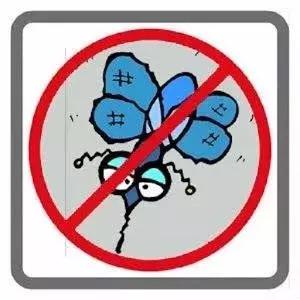 虫咬的急救技巧,夏季虫子叮咬急救