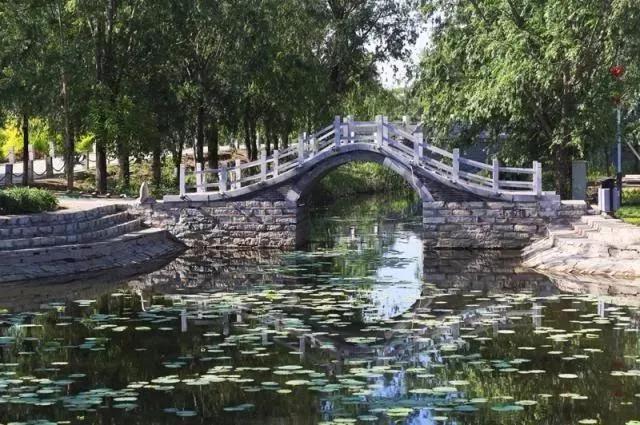 下半年全面开挂成功“上位”！我敢打赌，这是你从未见过的宝坻