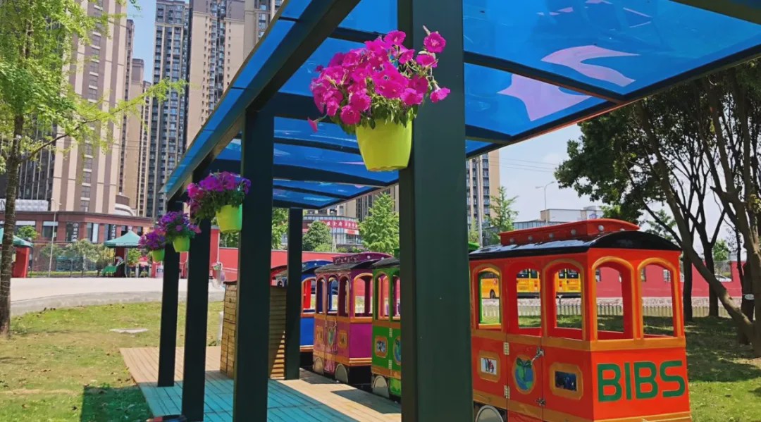 “温度”的师资，“韧度”的国际课程体系。青苗，你的不二之选