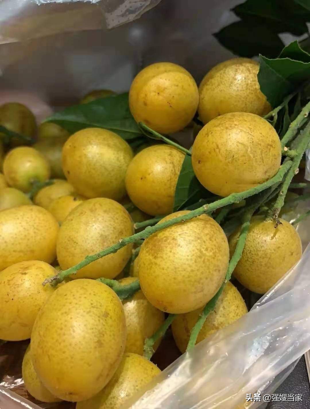 腌黄皮好吃吗,腌盐黄皮