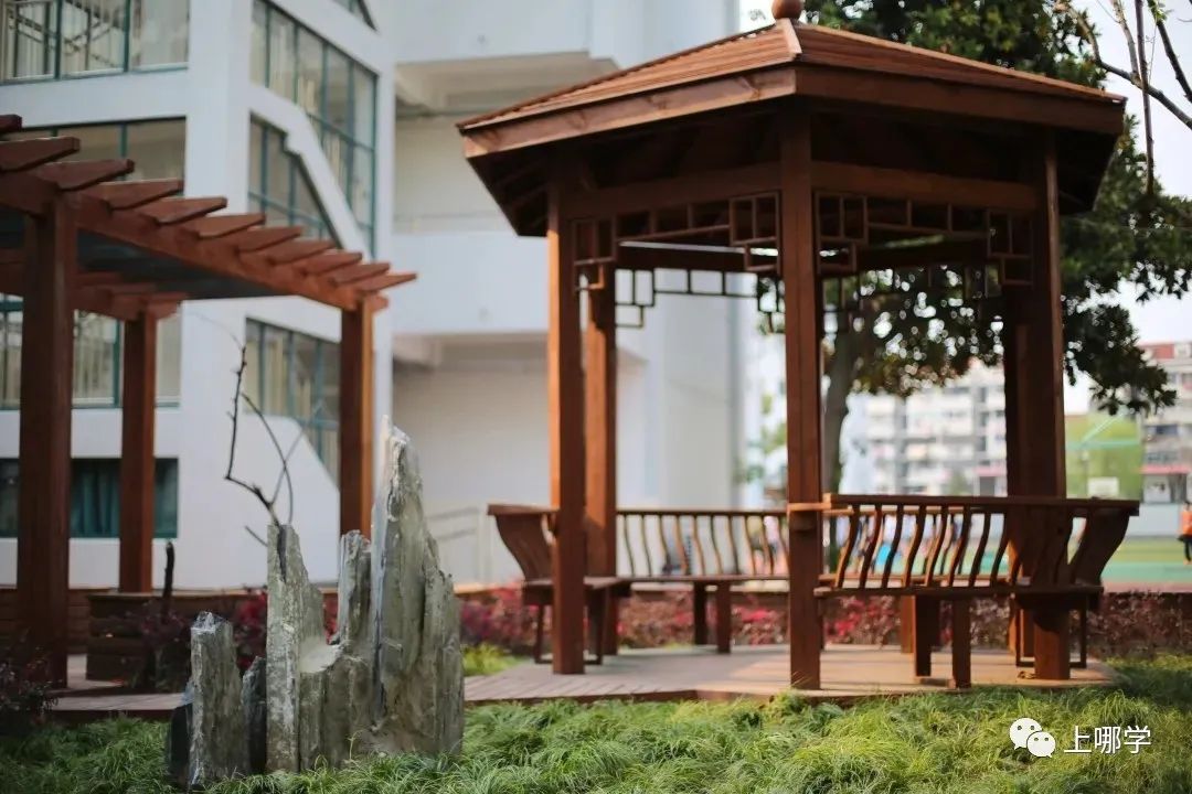 市重点超46%！上海这所优质初中，去年人户一致不满3年被统筹