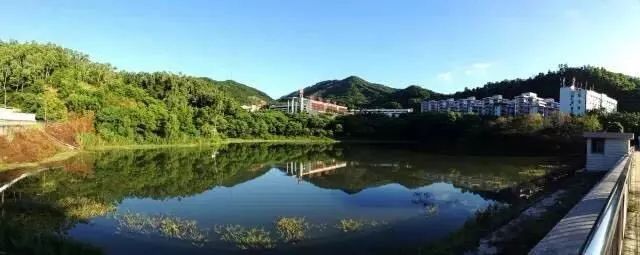 红岭中学可以走读吗,深圳红岭中学优缺点