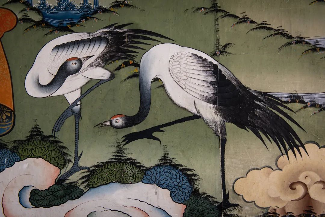 黑颈鹤的有趣之处,黑颈鹤有什么爱好