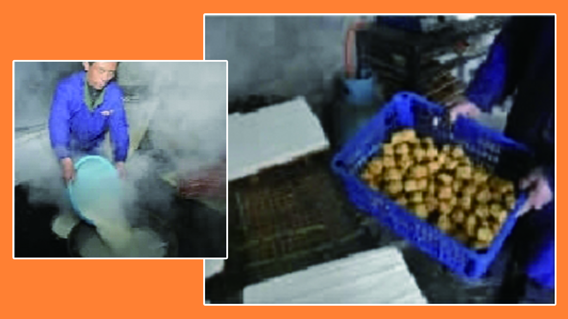 攸县皇图岭豆腐乳,攸县皇图岭镇豆腐作坊