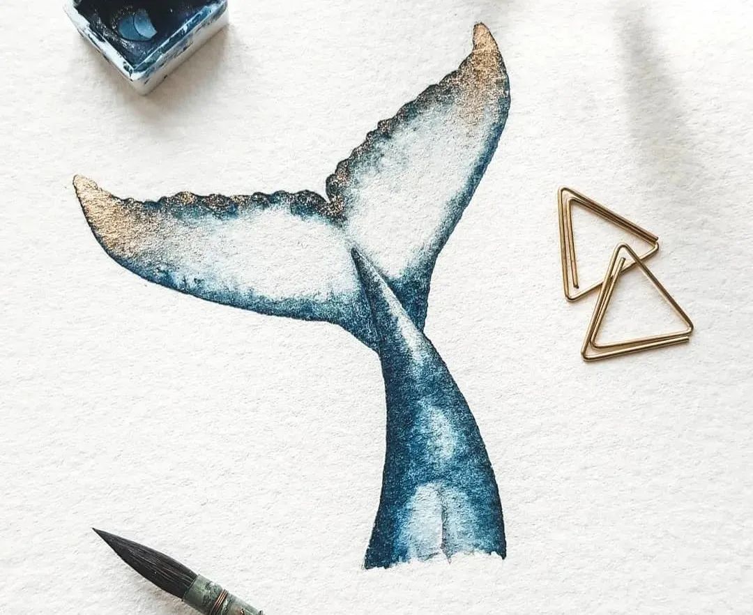 一头蓝鲸等于50只大象，被插画师画成小可爱，治愈了我们的内心