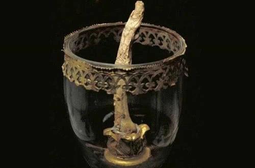 收藏至今的名人器官有哪些？从爱因斯坦眼睛再到爱迪生最后一口气