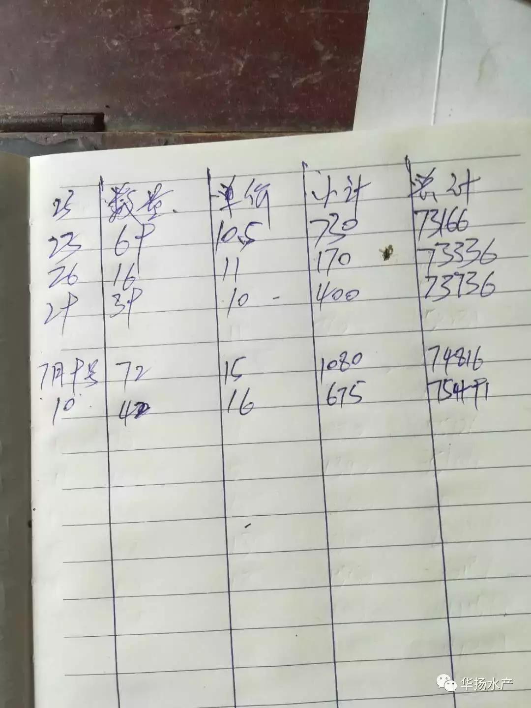 小龙虾如何养殖才能挣钱,小龙虾养殖技术成本与利润致富经