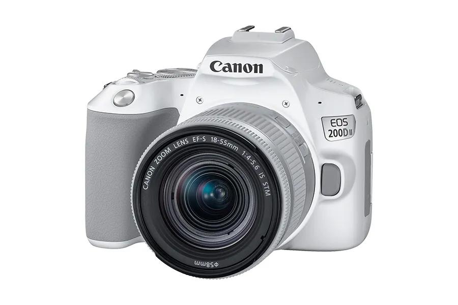 为何人像摄影师都用佳能,佳能相机拍人像用什么镜头最好