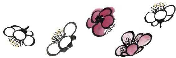 国画梅花上的雪画法步骤教程视频,零基础国画入门画梅花教程