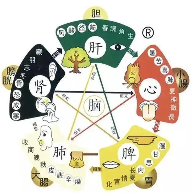 肝血亏虚的干眼症怎么调,眼干眼涩眼赤是肝血不足吗