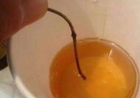 鉴别蜂蜜纯不纯的方法很实用哦,用白酒鉴别真假蜂蜜的方法视频
