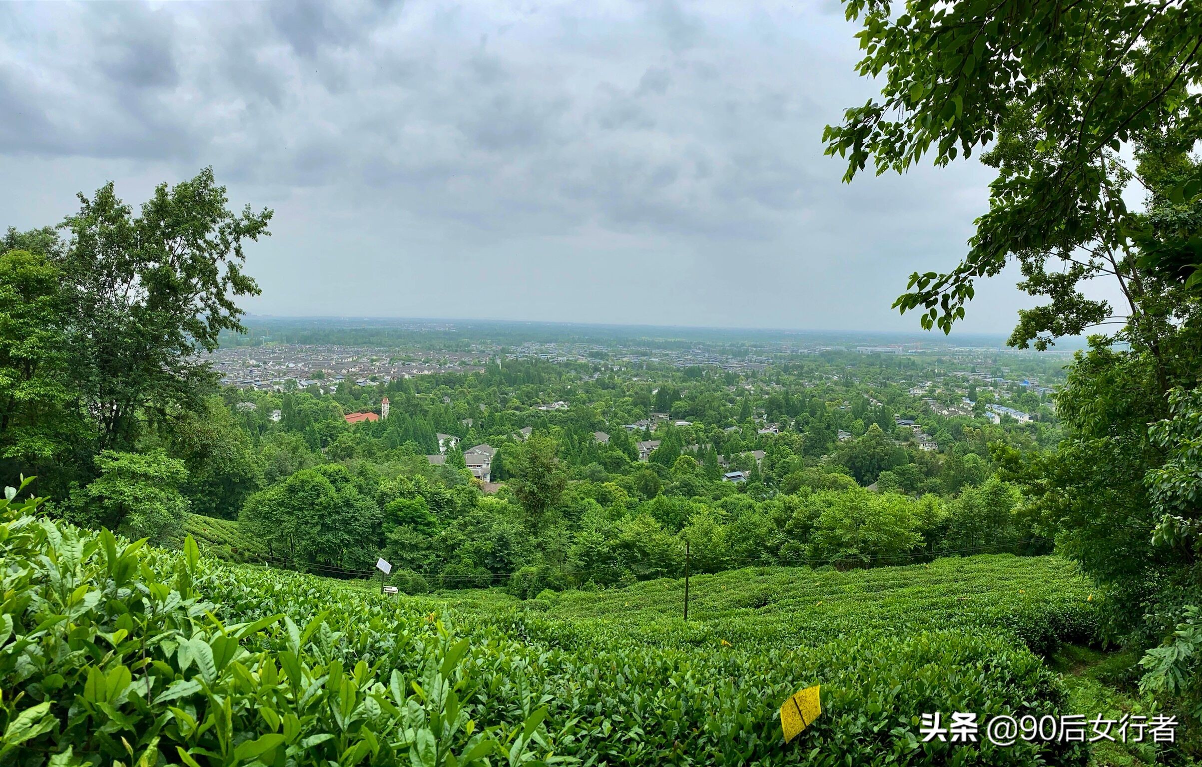 探寻青城山,探秘青城山神仙洞怎么走