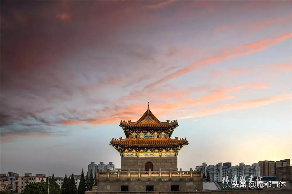 上海天安千树网红打卡点,上海打卡必去的地方排名