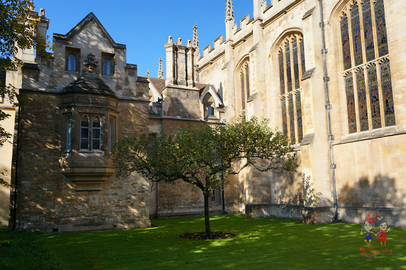 徐志摩在剑桥大学学习,徐志摩留学剑桥