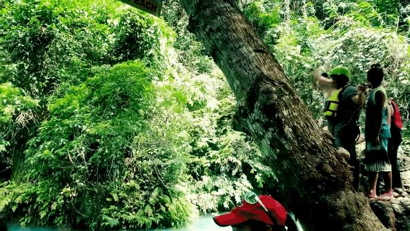 去宿雾攻略,宿雾旅行攻略