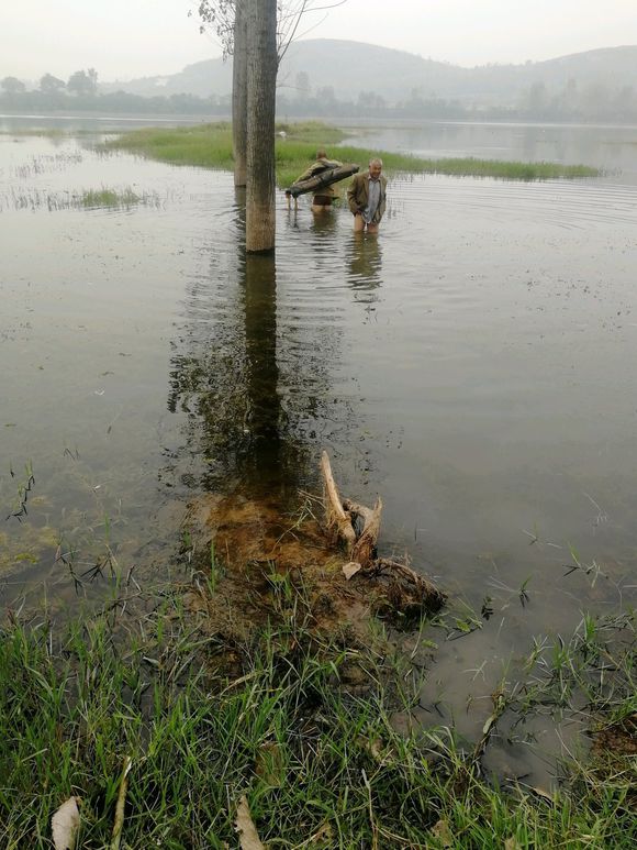 涨水钓鱼钓深还是钓浅,下雨涨水后钓鱼钓深还是浅