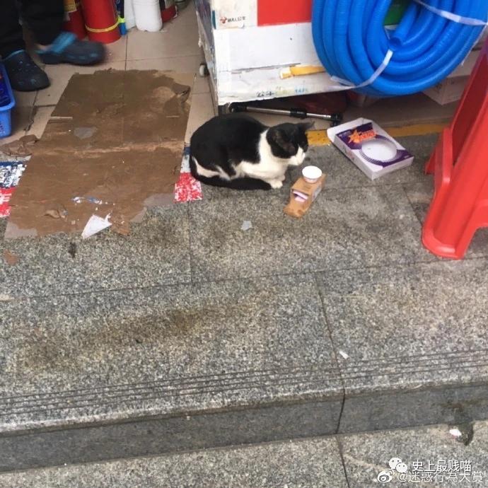 “教你怎么和家里的长辈微信聊天？”这操作太骚了！