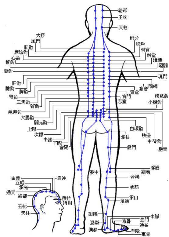 十四条经络讲解,十四经循行路线歌诀讲解