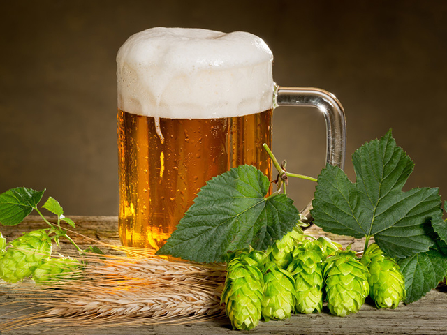 干啥都想来两杯，爱喝啤酒的人，最好记住这5点，借酒助兴全靠它