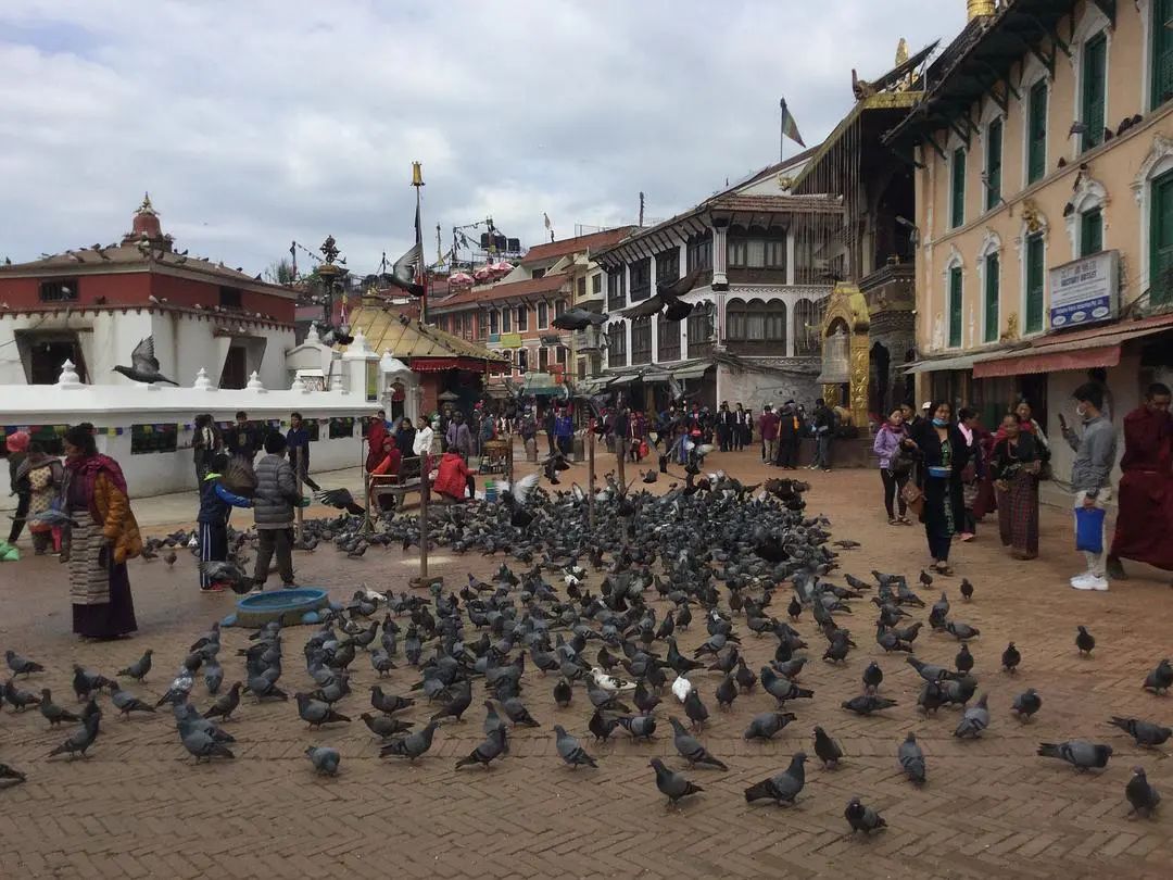 尼泊尔游记十一,七年环球游西藏尼泊尔