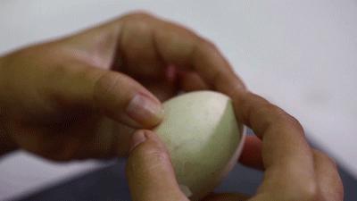 废旧蛋壳妙用大全,废弃蛋壳怎么处理