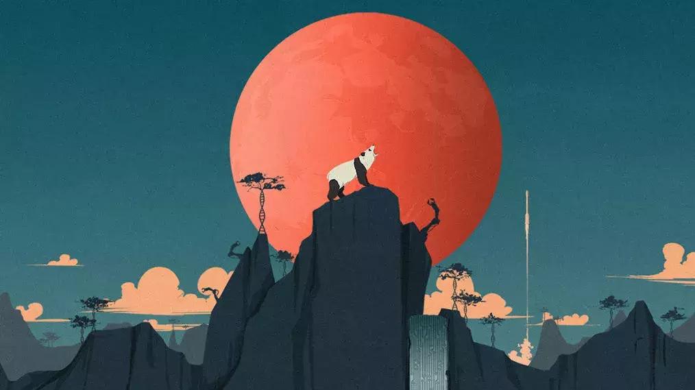 被梦想学校拒绝,今年被梦校拒绝没有满意的offer