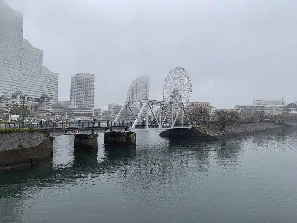 我在钻石公主号附近进入日本