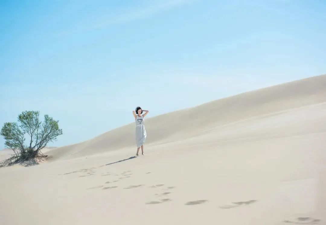 朱婷报案事件具体是什么,朱婷报案事件完整版