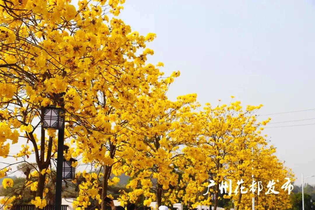 在大山深处幽静绝美的村落,深藏大山中的村落